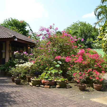 Phuket Golden Sand Inn - SHA Extra Plus-2