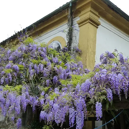 Pouso das Glicínias - B&B-2