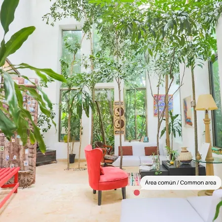 Guest House La Aldea Holistic Experience-2