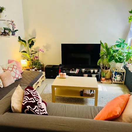 Brooklyn Crown Heights Room-2
