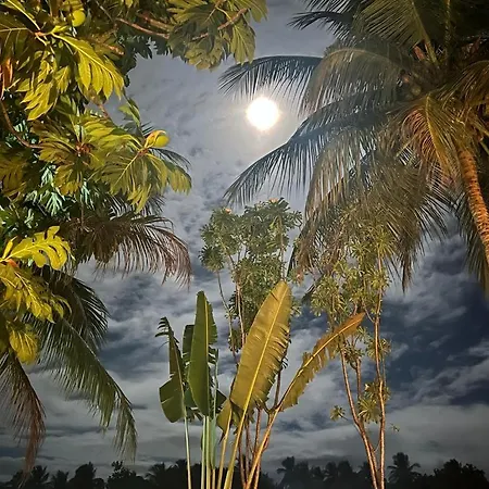 Pousada Vida Sol-3