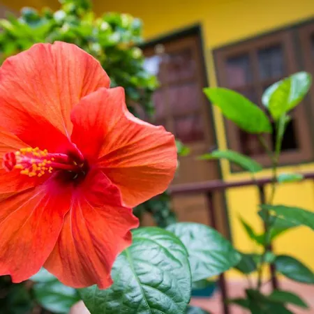 Janrassamee Home Stay-2