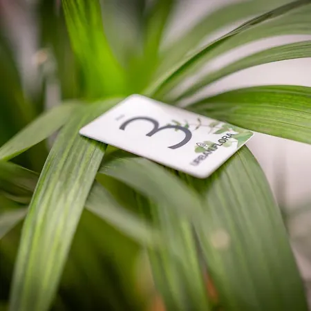 Urbanflora-3