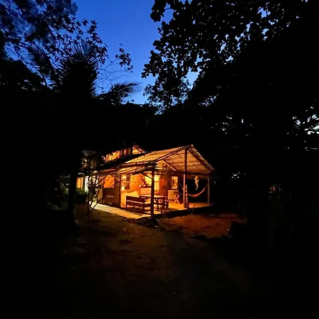 Jungle Lodge-2