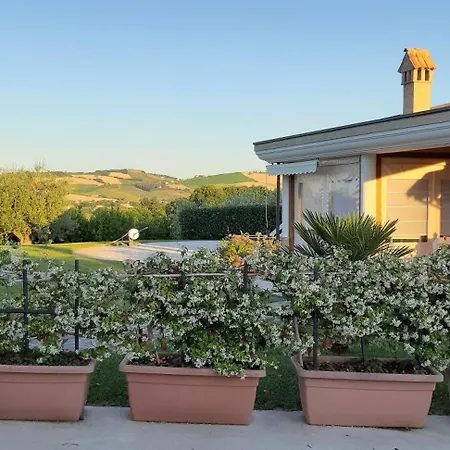 B&B Agrifoglio-2