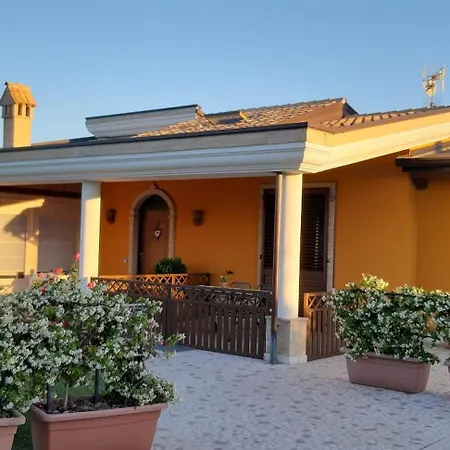 B&B Agrifoglio-3