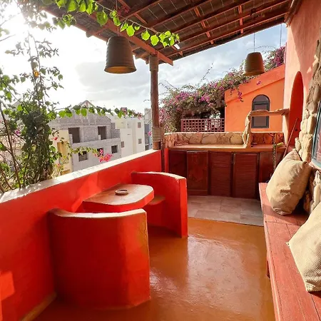 Surfactivity Guest House-3