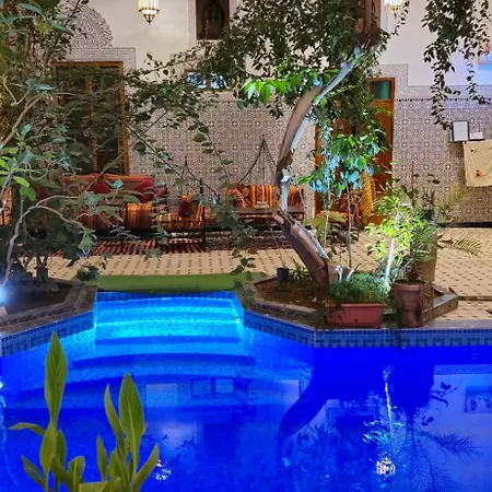 Riad Raffaa-3
