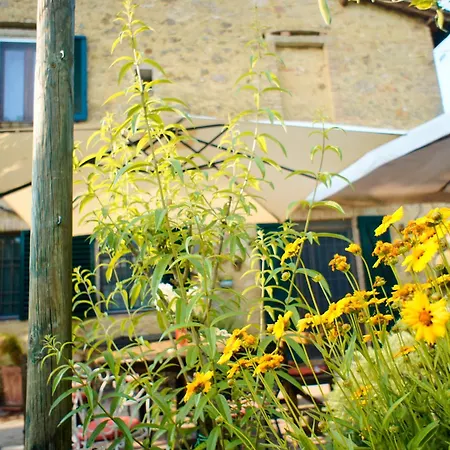 Il Casale-2