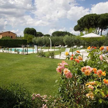 Rosa di Assisi-2