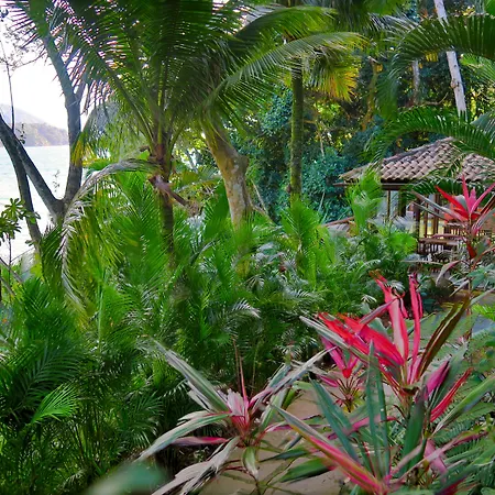 Atlantica Jungle Lodge-2