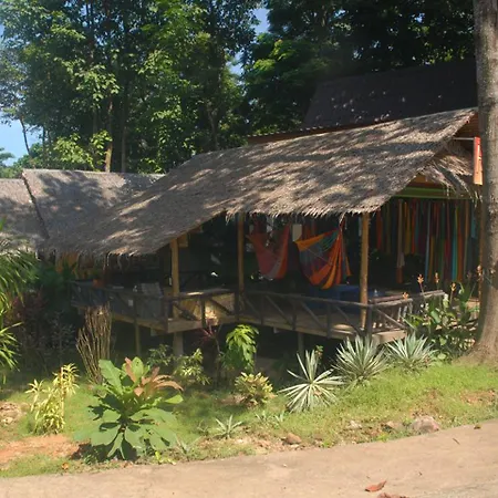 Jungle Garden-2