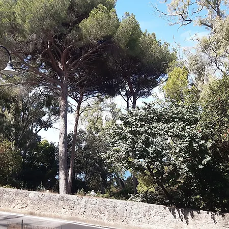 B&B Posidonia-3