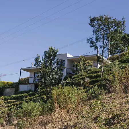 Pousada Casa Bambu-3