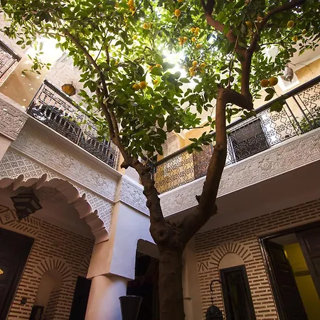 Riad Maud-2