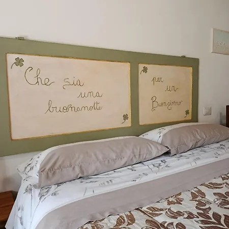 B&B Paradiso-2