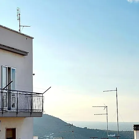 Il Girasole-2
