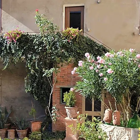 B&B Freemocco-3