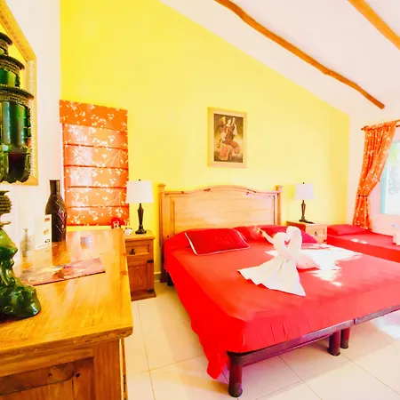 Playacar - Executive Budget Room With Swimming Pool Air Conditioning And Parking-2