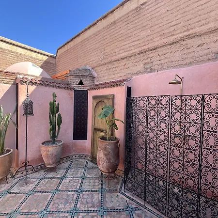 Riad Ecila-2