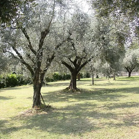 B&B Agli Ulivi-2