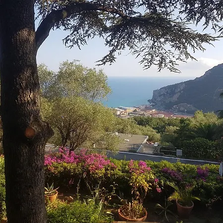 La Camera Tra Gli Ulivi Dream Finale-2