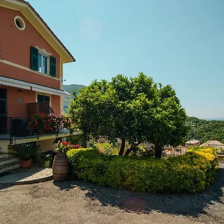 Le Clementine B&B-3