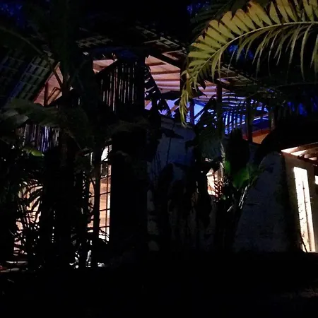 Pousada Rainforest House - Ilha Grande-2