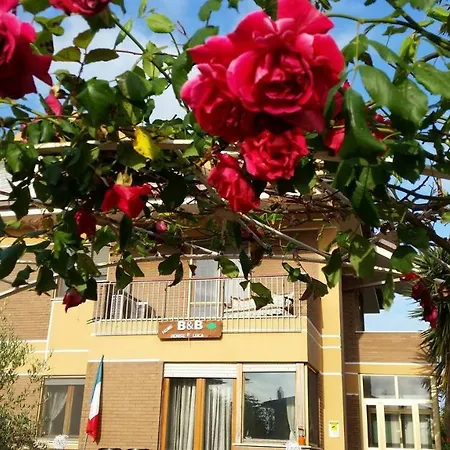 Home Denise E Luca-3