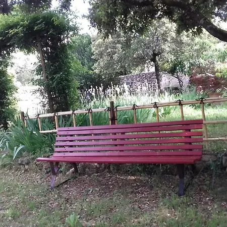 Le Jardin d'Adam-2